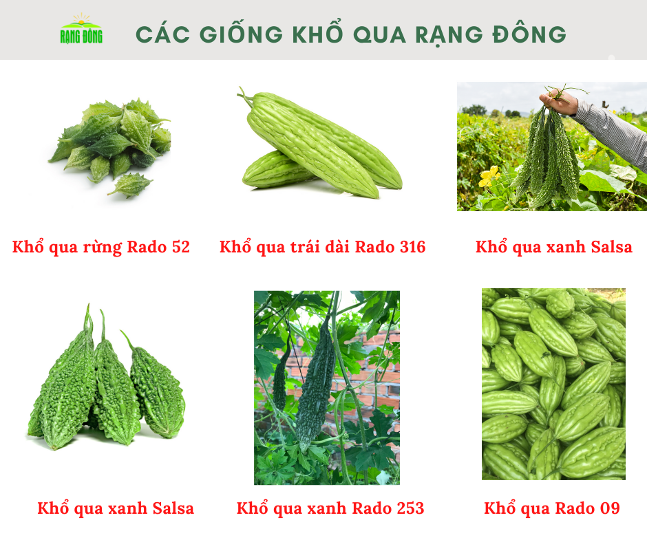 Các Giống Cây Trồng Thuần Chủng - Tinh Hoa Thiên Nhiên Đất Việt