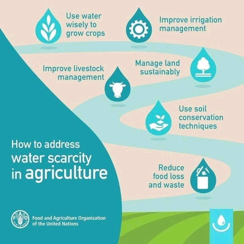 Quản lý nước là tối quan trọng trong nông nghiệp, chiếm 70% lượng nước sử dụng toàn cầu