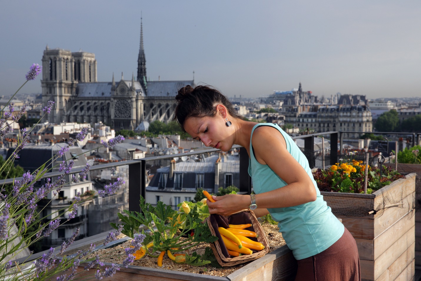 Một người phụ nữ chăm bón rau trên trang trại trên sân thượng trong môi trường đô thị 
