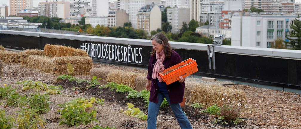 Nhân viên bưu điện thu hoạch rau trên khu vườn rộng 900 mét vuông trên tầng thượng của trung tâm phân loại bưu điện của họ, nằm trong dự án của hiệp hội Facteur Graine (Seed Postman) nhằm biến tầng thượng thành phố thành vườn rau để trồng trái cây, rau, thơm. và cây thuốc, với cả gà và ong ở Paris, Pháp, ngày 22 tháng 9 năm 2017. Khẩu hiệu có nội dung "Để ước mơ lớn lên". Hình chụp ngày 22 tháng 9 năm 2017. REUTERS / Charles Platiau - RC179539E190