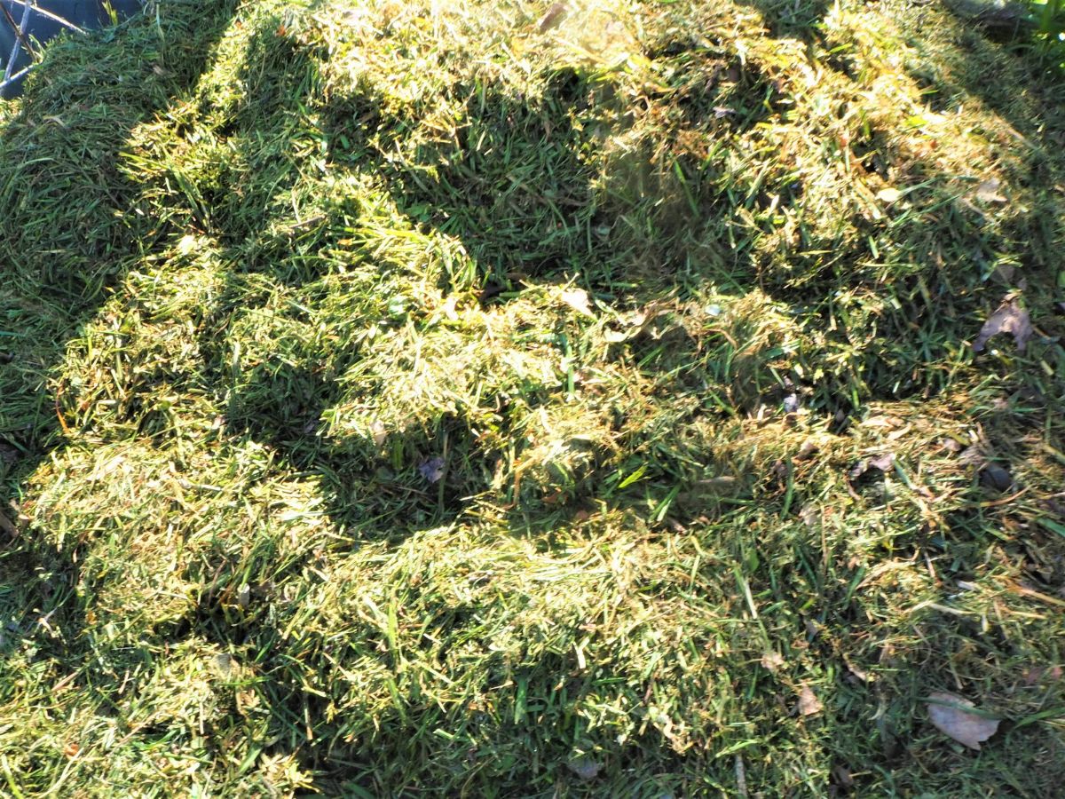 Cắt cỏ được thêm vào phân trộn.